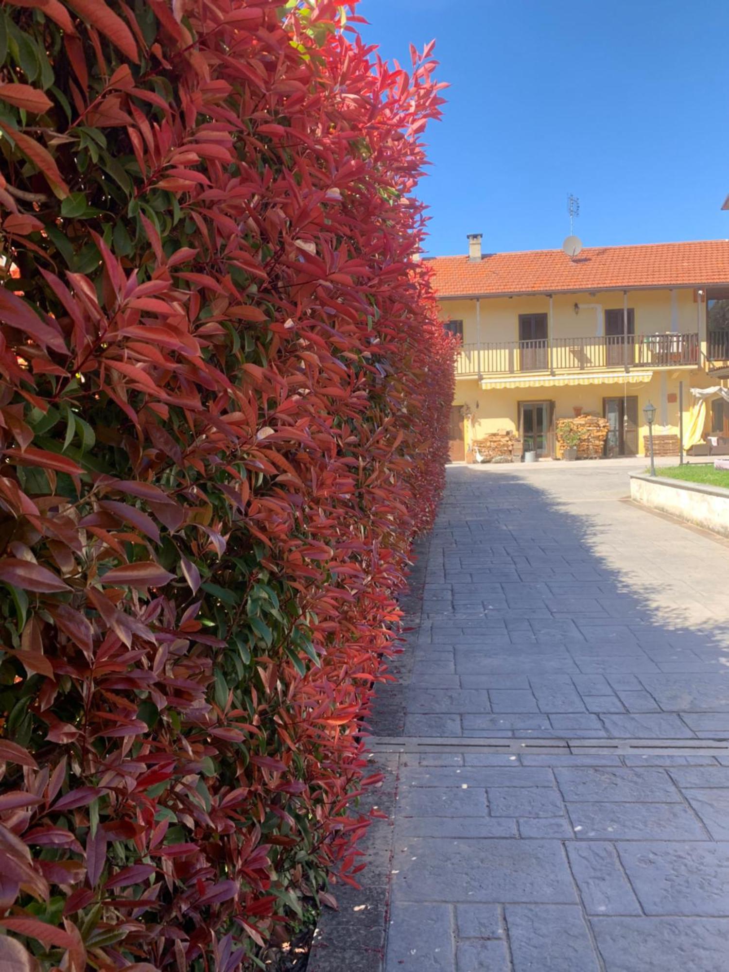 Casarte: Monolocale Terra Apartment Alpignano Exterior photo